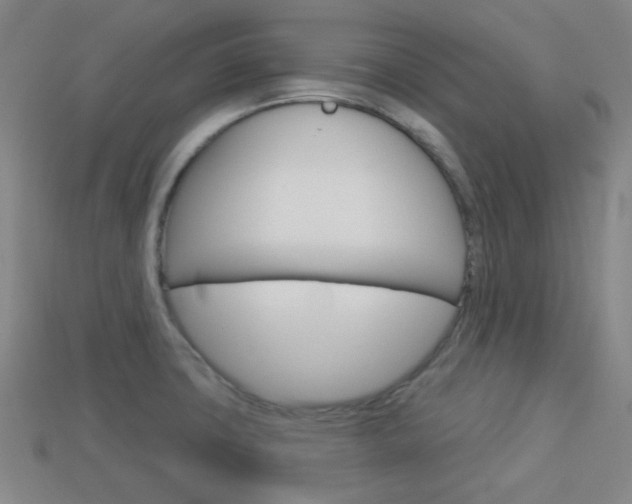 X0000113981427200910020939
