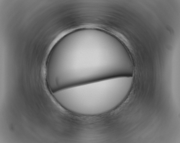 X0000113981428200910020939