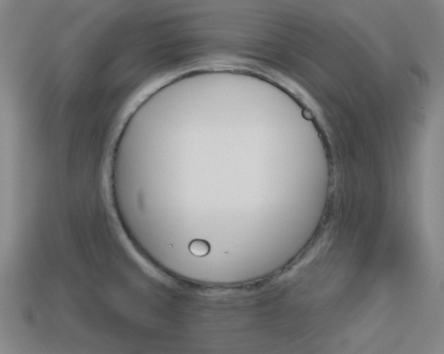 X0000113981429200910020940