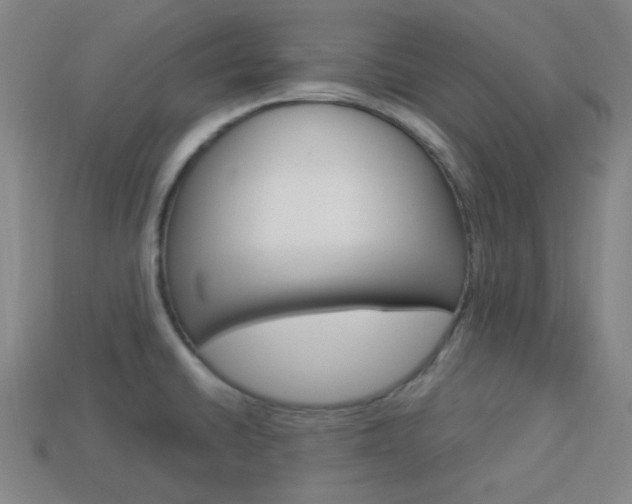 X0000113981430200910020940