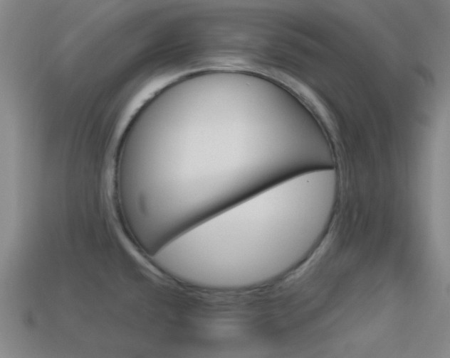 X0000113981432200910020940