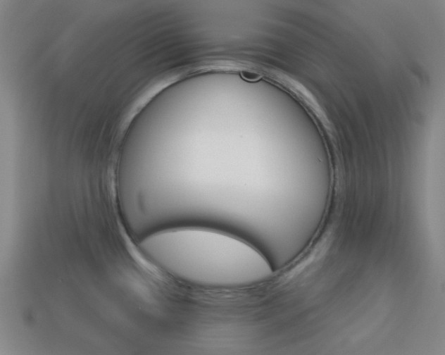 X0000113981433200910020940