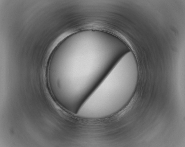 X0000113981434200910020940