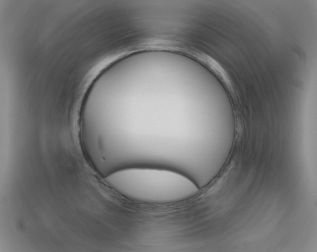 X0000113981435200910020940