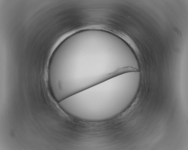 X0000113981436200910020940