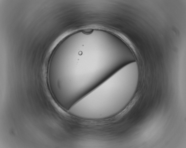 X0000113981438200910020940