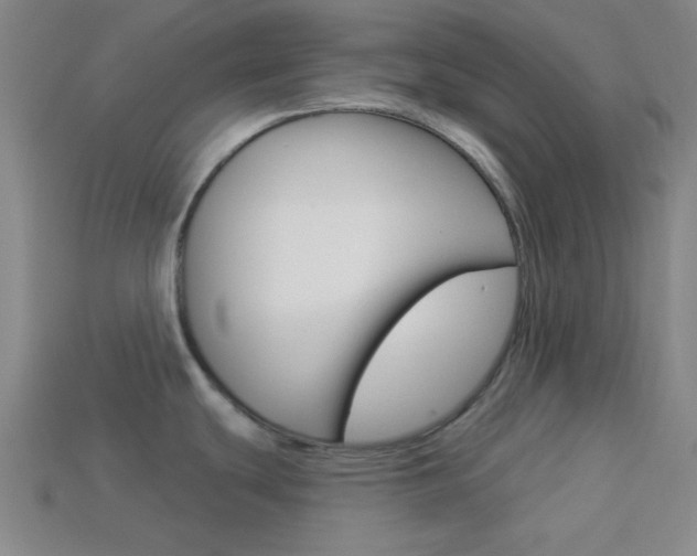X0000113981439200910020940