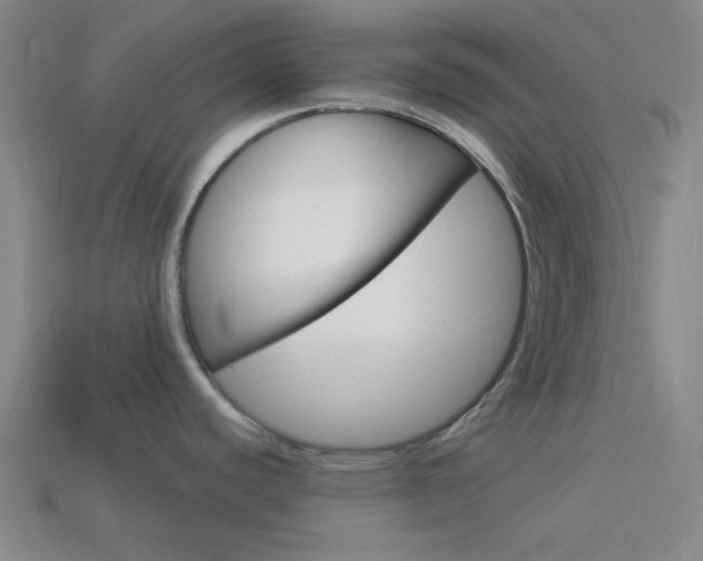 X0000113981440200910020940