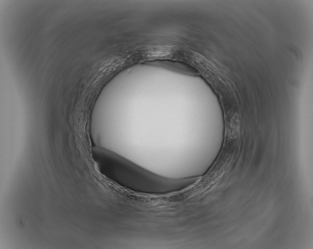 X0000113981441200910020939