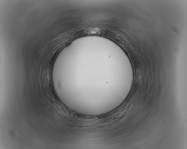 X0000113981442200910020939
