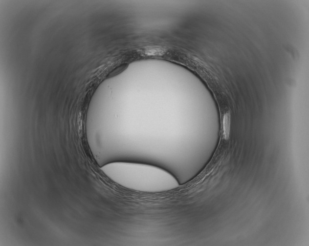 X0000113981443200910020939