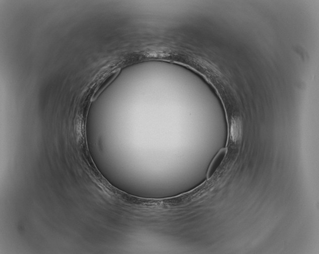 X0000113981444200910020939