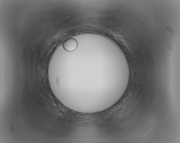 X0000113981445200910020939