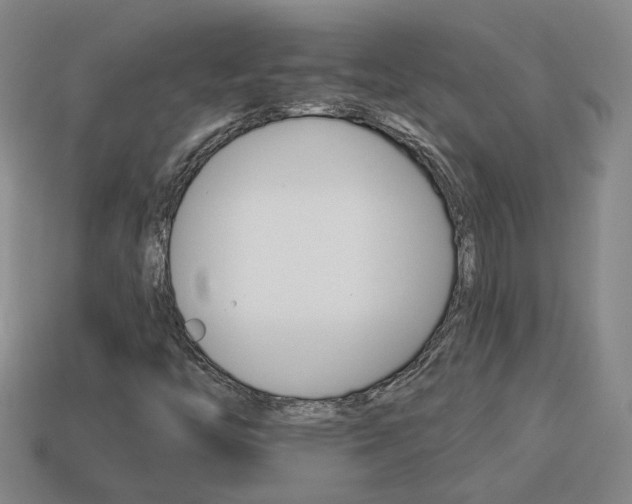 X0000113981446200910020939