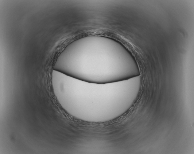 X0000113981447200910020939