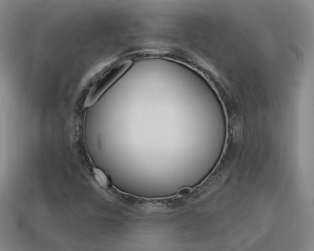 X0000113981448200910020939