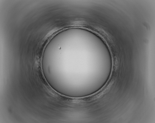 X0000113981449200910020939