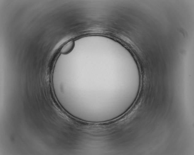 X0000113981450200910020939