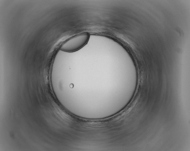 X0000113981451200910020939