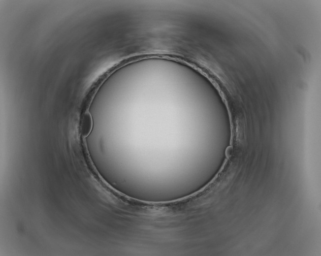 X0000113981452200910020939