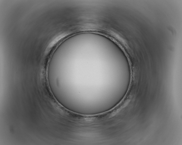X0000113981453200910020939