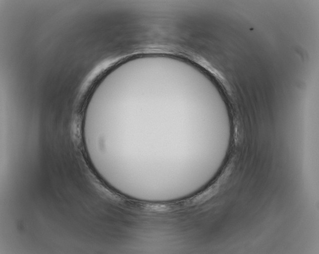 X0000113981454200910020939