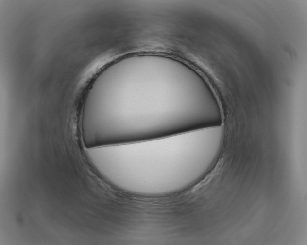 X0000113981455200910020939