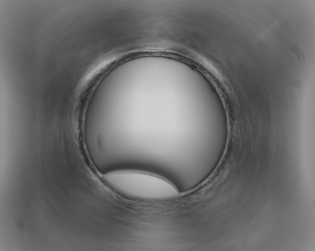 X0000113981456200910020939