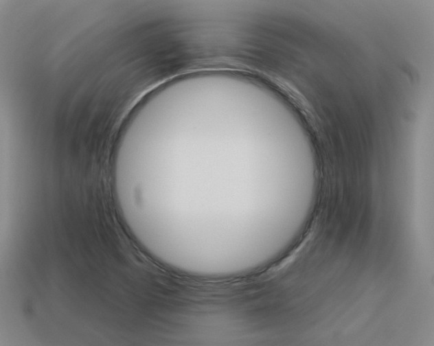 X0000113981457200910020939