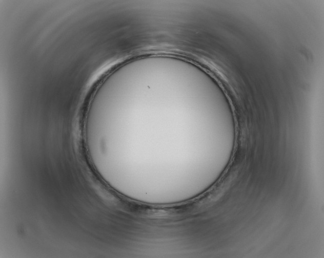 X0000113981458200910020939