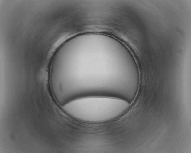 X0000113981459200910020939