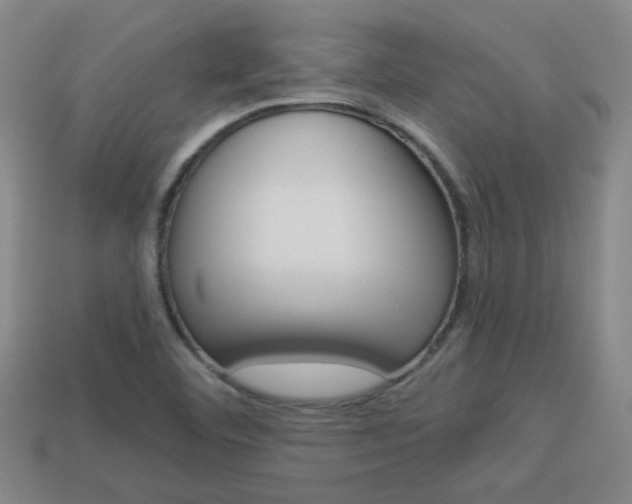 X0000113981460200910020939