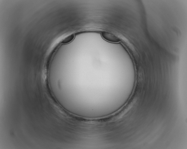 X0000113981461200910020939