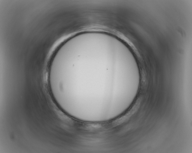 X0000113981462200910020939