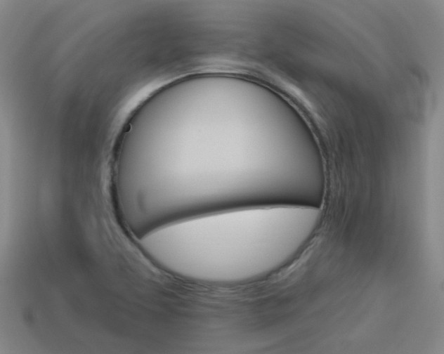 X0000113981463200910020939
