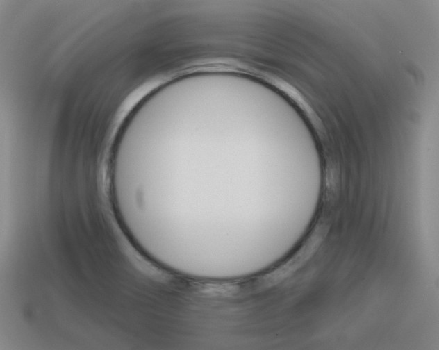 X0000113981466200910020939