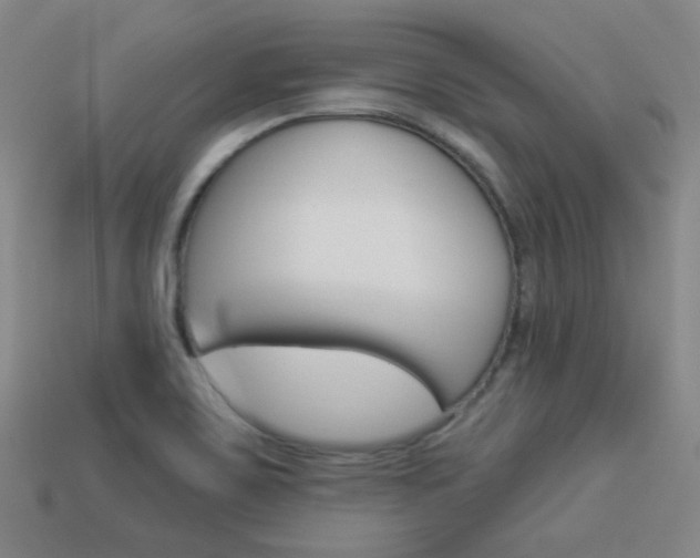 X0000113981467200910020939