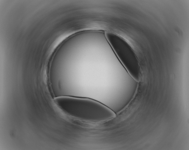 X0000113981468200910020939