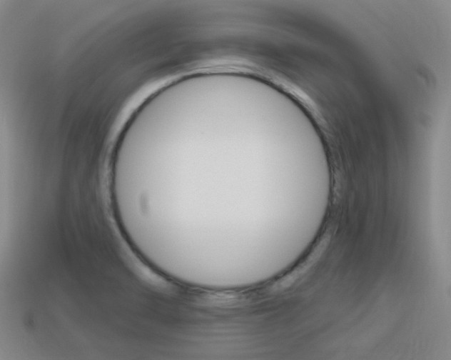 X0000113981470200910020939