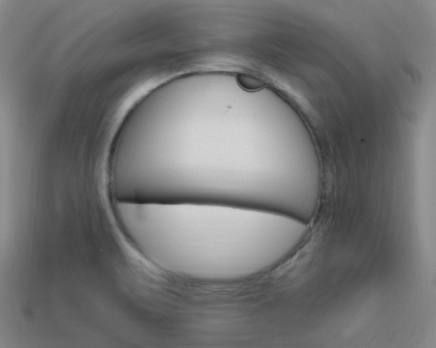 X0000113981471200910020939