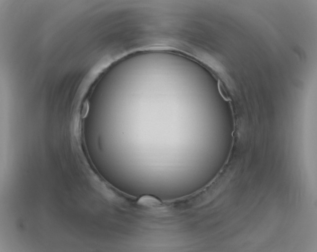 X0000113981472200910020939