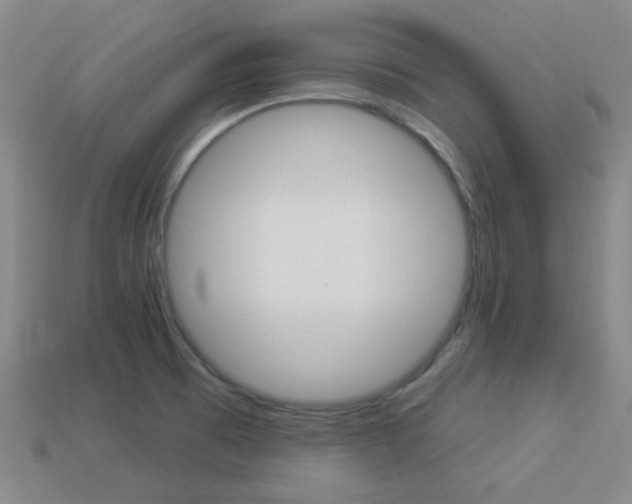 X0000113981473200910020939