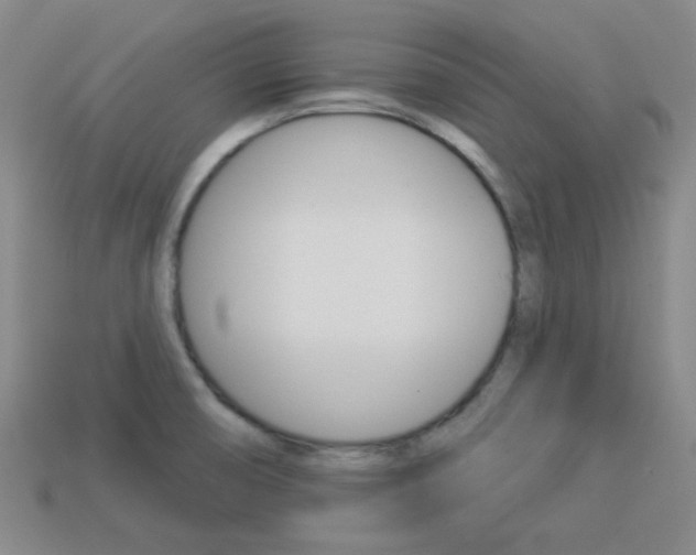 X0000113981474200910020939