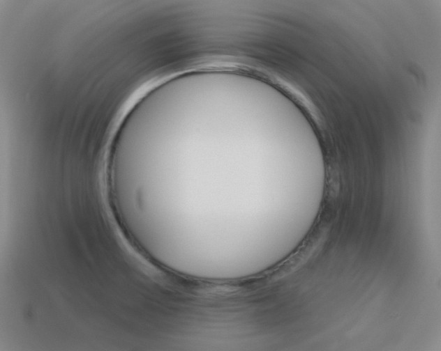 X0000113981475200910020939