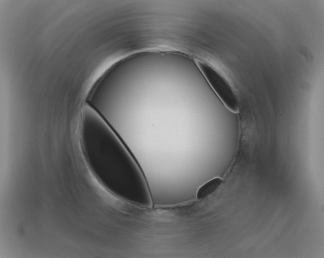 X0000113981476200910020939