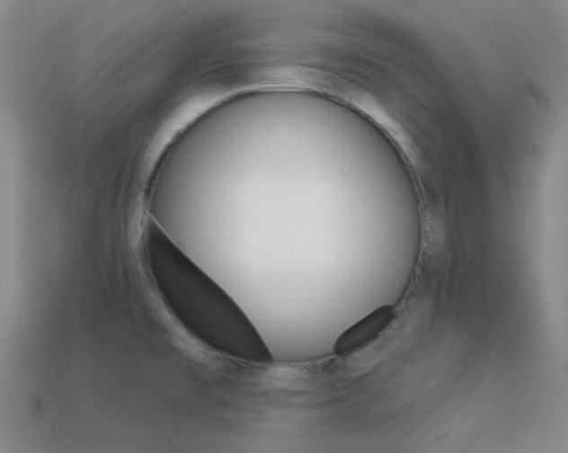 X0000113981477200910020939