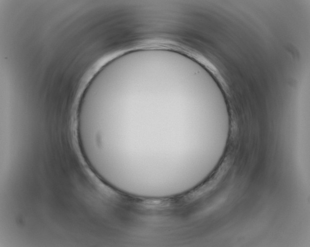 X0000113981478200910020939