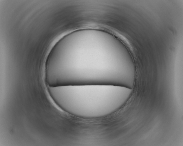 X0000113981479200910020939