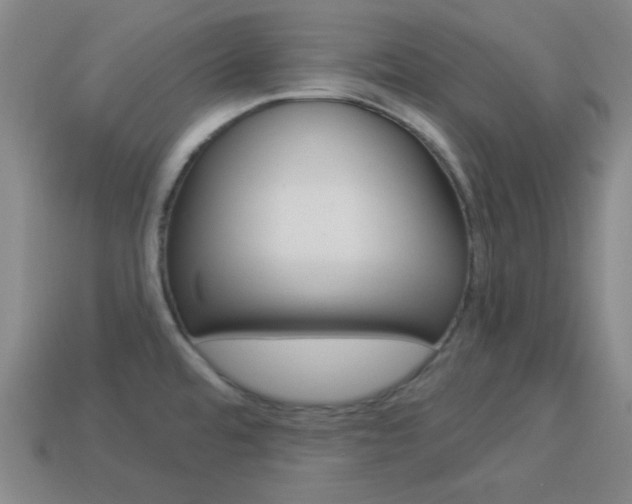 X0000113981480200910020939