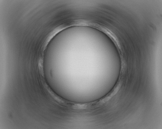 X0000113981481200910020939